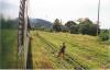 Bambini al passaggio del treno Serra do Mar, Paran, Brasile