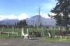 Il Parco Nazionale Cotopaxi (Ecuador)